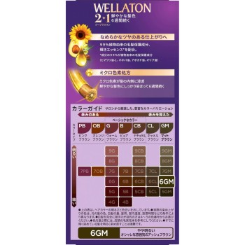 웰라톤 2+1 크림 6GM 약간 밝은 매트 브라운 60g+60ml