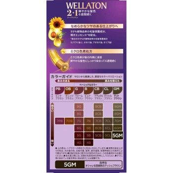 웰라톤 투 플러스 원 크림 5GM 자연스러운 매트 브라운 60g+60ml Wella AG (의약외품)