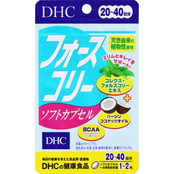 포스코리 소프트캡슐 40정 DHC