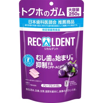 리카르덴트 그레이프 민트껌 스탠드 파우치 250g