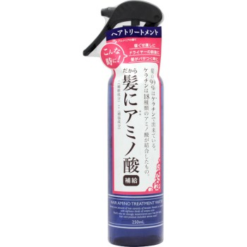 헤어 아미노 트리트먼트 워터 N 250ml
