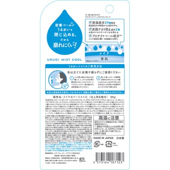 촉촉미스트+ 쿨 65g 디알