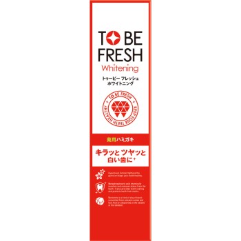 투비화이트 약용덴탈페이스트 100g 네이처랩