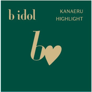 b idol 이뤄주는 하이라이터 01 골격베이지 _ 가네보