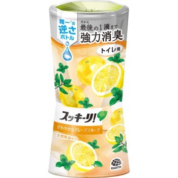 화장실 스킷 민트 자몽향 화장실 방향제 400ml 아스제약