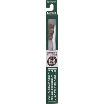 부드러운 털 칫솔 350 에비스