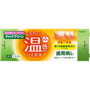 딥 클린 약용 온감 치약 85g 카오
