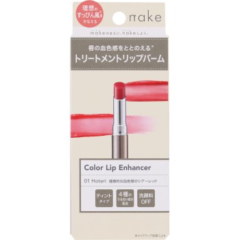 네이크 컬러립 엔한서 01 호테리 2.2g