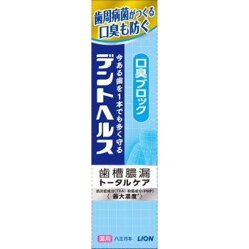 덴트 헬스 약용 치약 구취 블록 28g 라이온