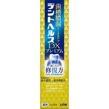 덴트헬스 약용 치약 DX 프리미엄 30g 라이온