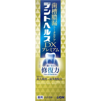 덴트 헬스 약용 치약 DX 프리미엄 90g 라이온
