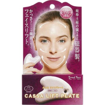 갈사 리프트 플레이트 로즈쿼츠 코지트