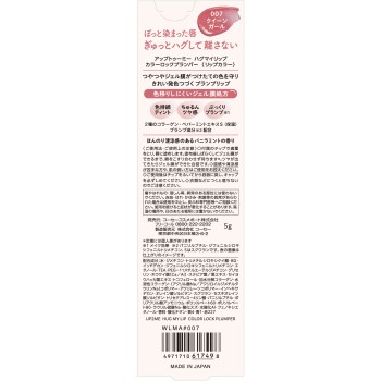 up2me 허그마이립 C록플럼퍼 007 5g 코세 코스메포트