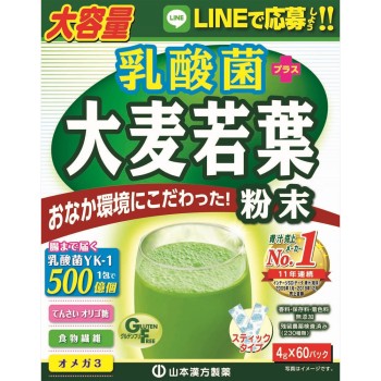 유산균 대맥약엽 4g×60H 야마모토한방