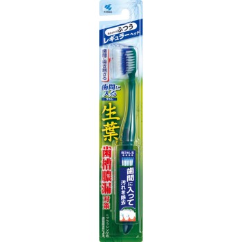이파 치간에 들어가는 브러시 레귤러 보통 1개 고바야시제약