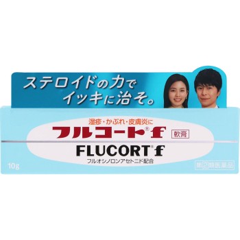 풀코트f 10g 타나베파마