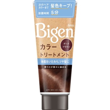 비겐 컬러 트리트먼트 다크 브라운 호유