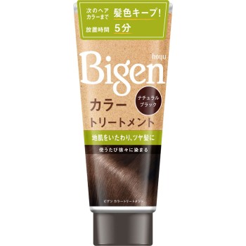 비겐 컬러 트리트먼트 내추럴 블랙 호유