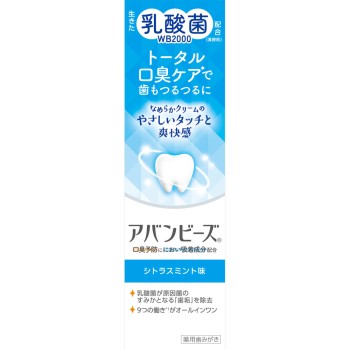 아반비즈 토탈 구취 케어 80g 와카모토제약
